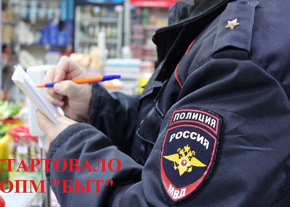 Профилактическое мероприятие «Быт» в Североуральске
