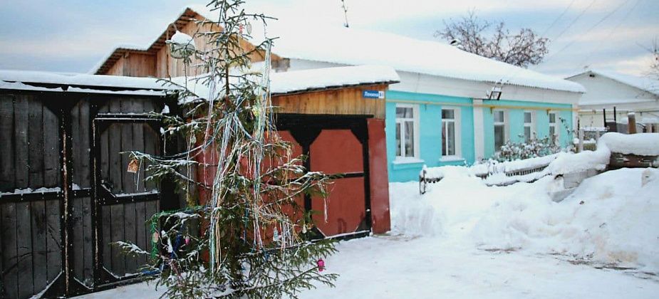 «Рифей» просит не выбрасывать елки в мусорный контейнер