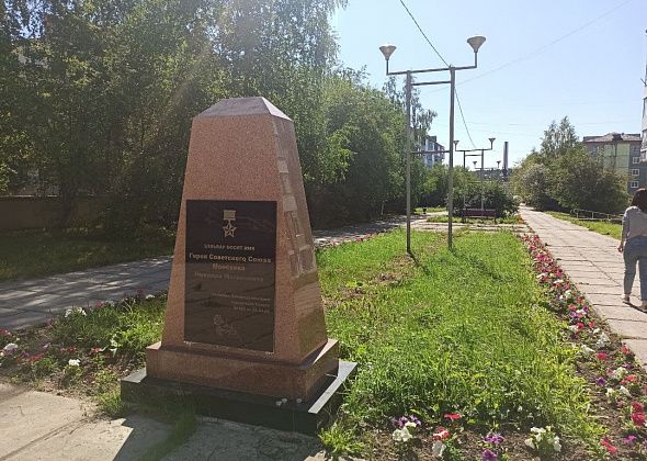 За обработку кладбищ, пляжей и парков от клещей и грызунов готовы заплатить 293 тысячи рублей