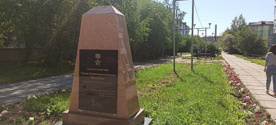 За обработку кладбищ, пляжей и парков от клещей и грызунов готовы заплатить 293 тысячи рублей
