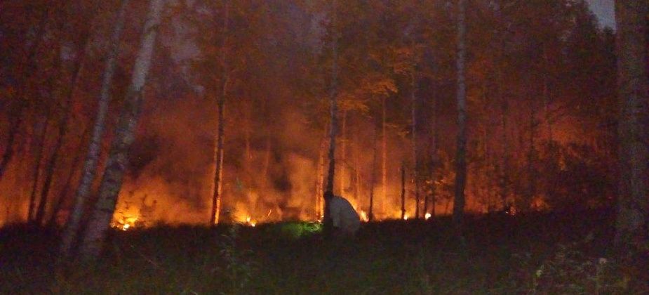 Евгений Куйвашев дал ряд поручений в связи пожароопасный ситуацией в регионе