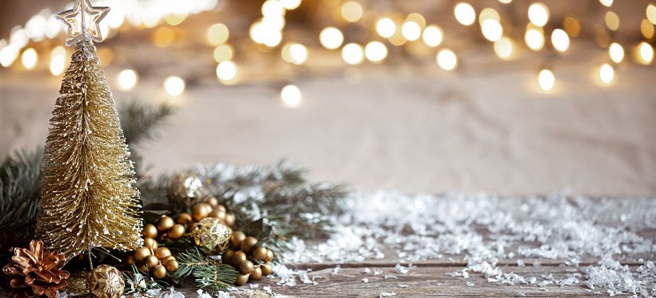 Жительница Североуральска Антонина Василенко поздравляет всех с Новым годом и дарит свои стихи