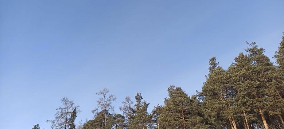 Особый пожароопасный режим в Североуральске отменен. В лес можно