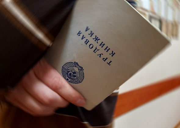 Есть работа! Свежие вакансии от центра занятости