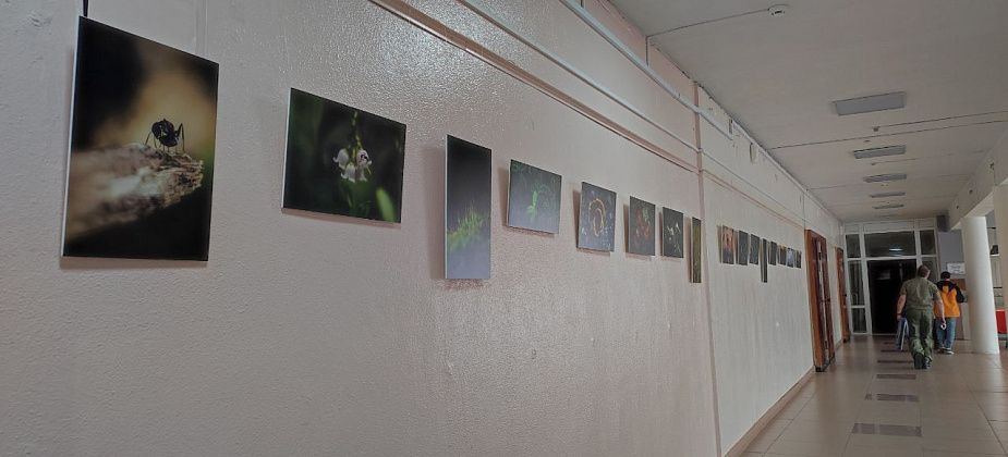 Авторская фотовыставка Фомы Возьмителя работает в «Современнике»