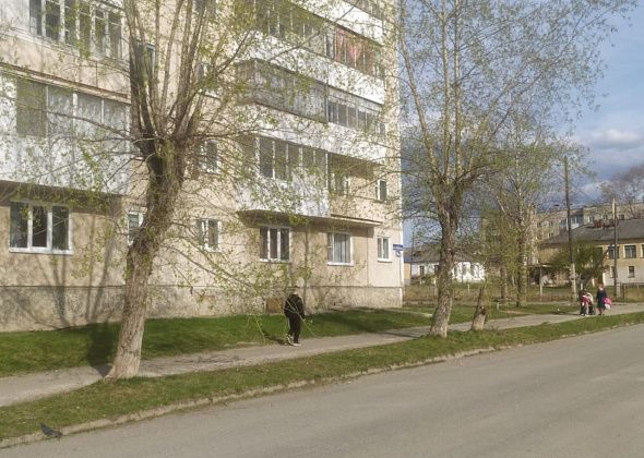 Население Черемухово за год уменьшилось на 215 человек. Жилье покупают иногородние