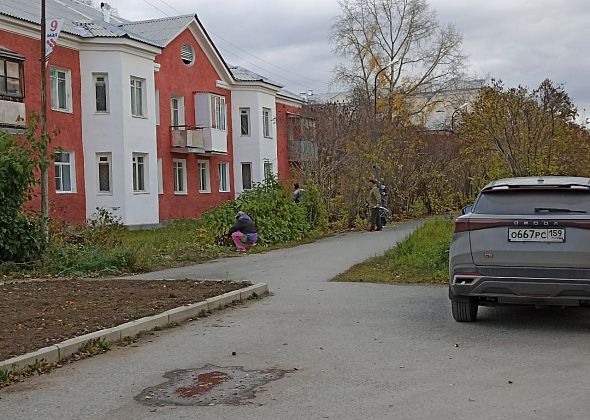 В Североуральске кронируют сирени и расчищают поросль на улицах Мира и Чайковского