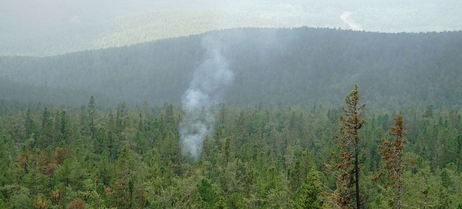 Константин Возьмитель - простыми словами о том, как не допустить лесных пожаров
